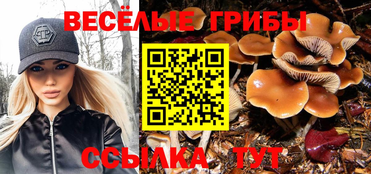 Псилоцибиновые грибы Psilocybine cubensis  Вход с VPN  Тверь 